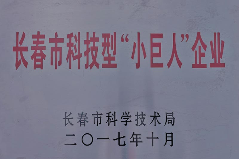  長(zhǎng)春市科技型“小巨人”企業(yè)